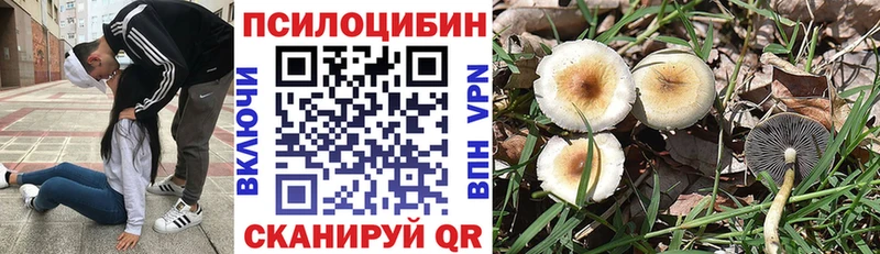 Псилоцибиновые грибы Cubensis  Купить  Подольск 